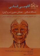 آناتومی انسانی دستگاه اسکلتی - عضلانی محوری (سر و گردن)